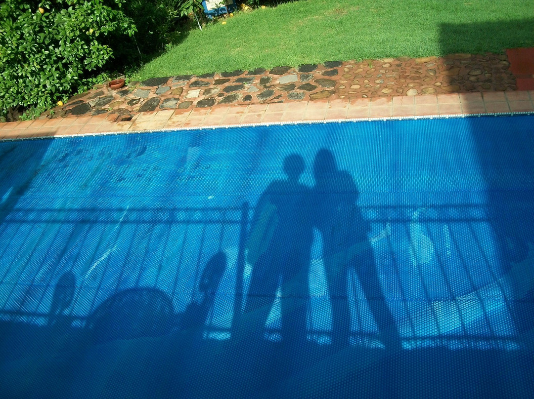 La Casa en el Bosque主图