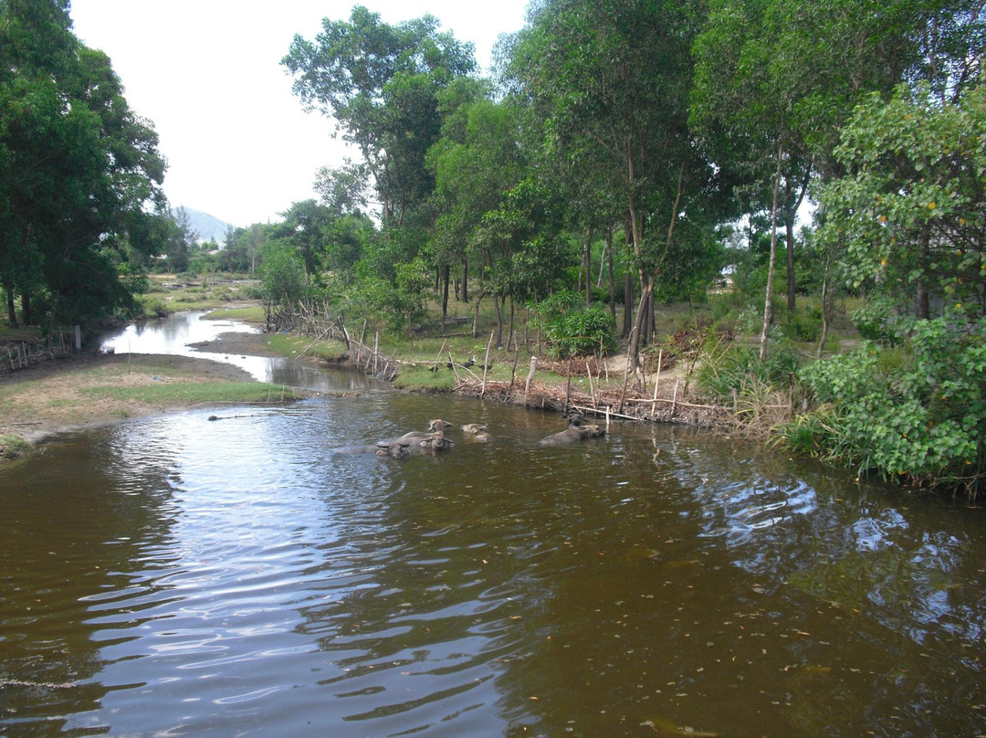 Phat Tire Ventures-会安必去景点