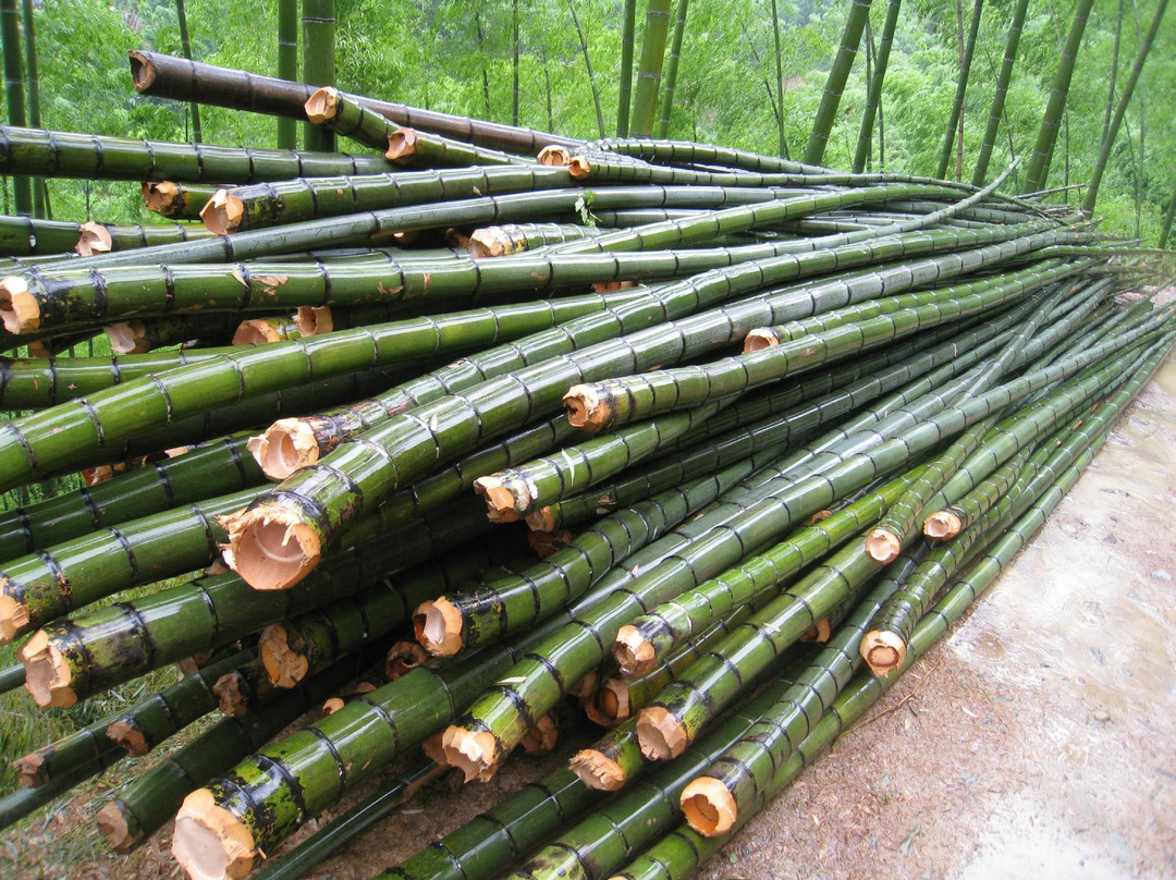 木坑村-黟县必去景点