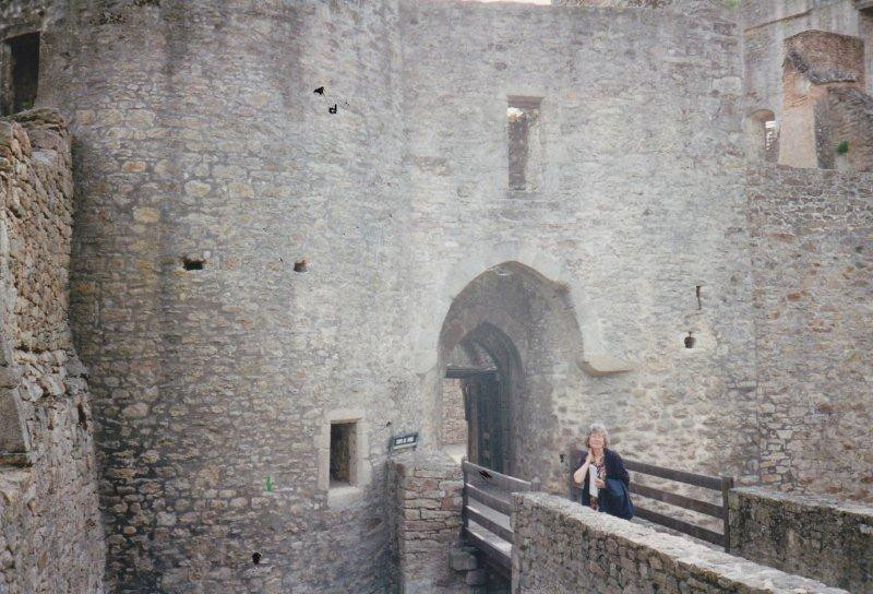 Chateau de Clisson景点图片
