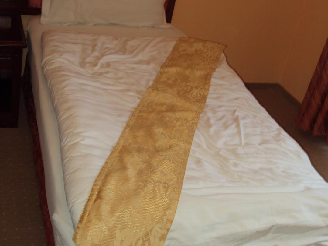 Kudowa-Zdroj酒店住宿-Hotel Adam & Spa