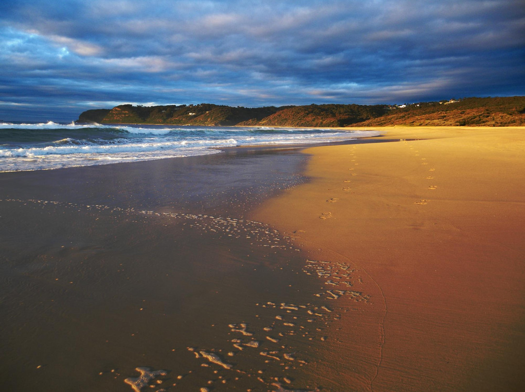Dudley Beach景点图片