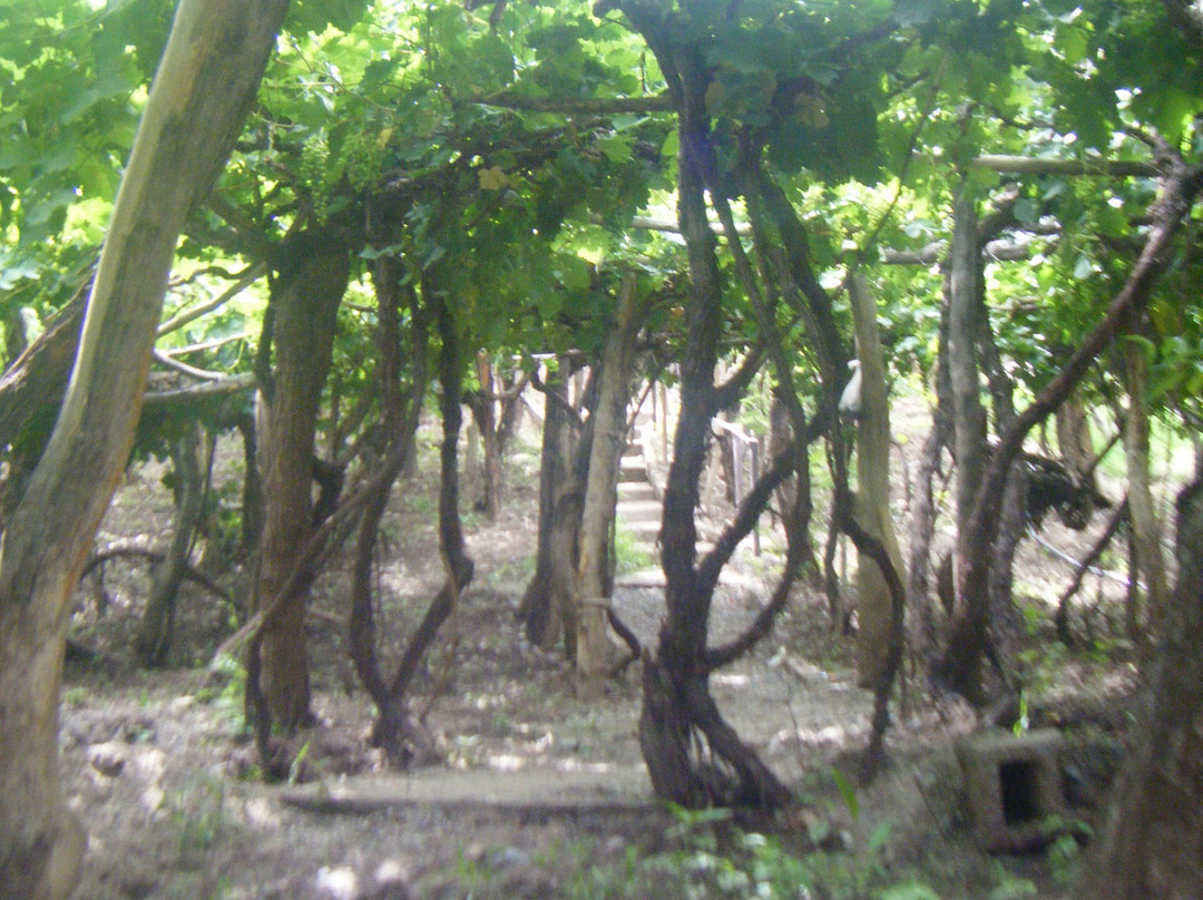 Hosteria Don Arturo主图