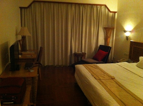 南中国大酒店主图