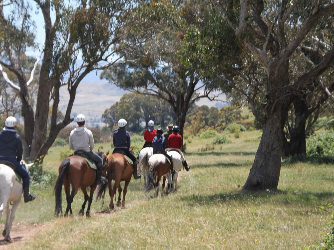 Watson's Mountain Country Trail Rides - Day Tours-曼斯菲尔德必去景点