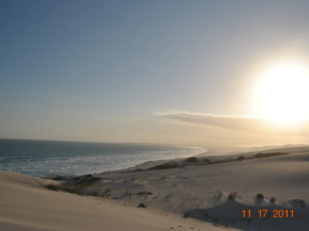 De Hoop Nature Reserve Whale Trail-De Hoop Nature Reserve必去景点