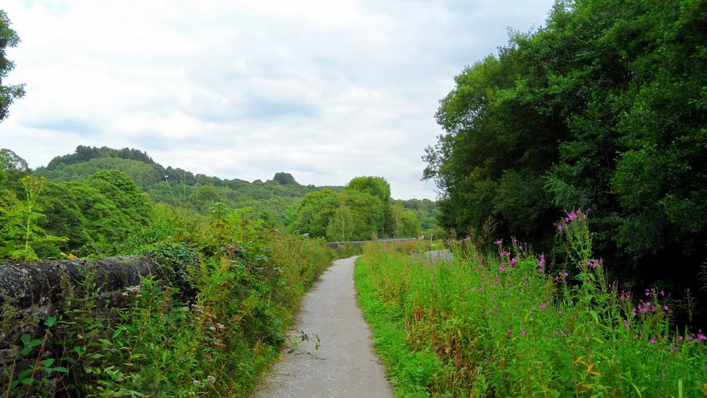Lea旅游景点-Cromford Canal