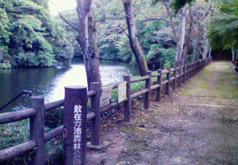 Hakusan Shrine-镰仓市必去景点