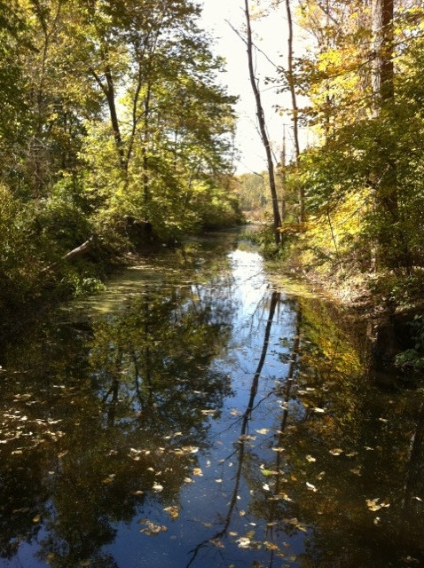 Chain O'Lakes State Park景点图片