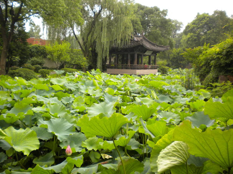 沈园-绍兴市必去景点
