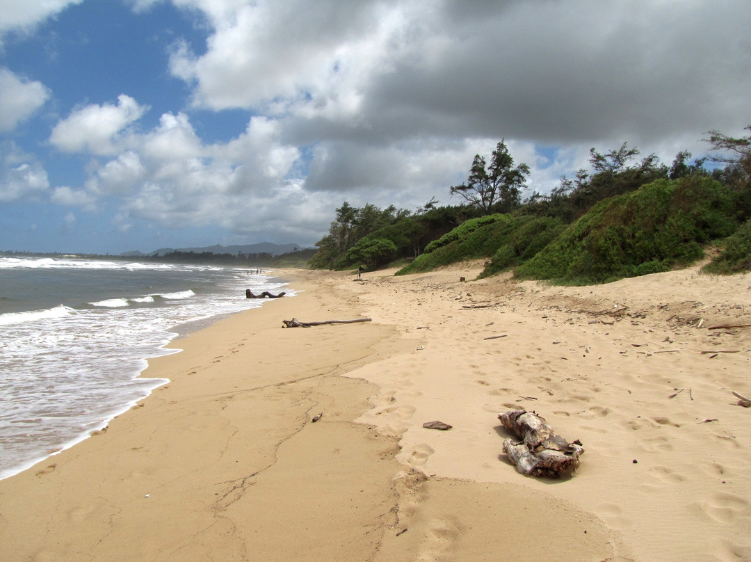 利德盖特州立公园-Wailua必去景点