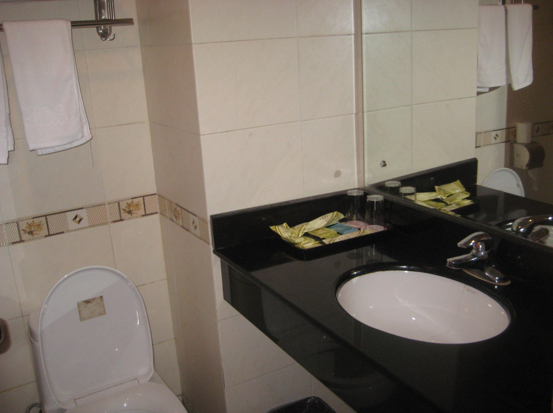 林野大酒店主图