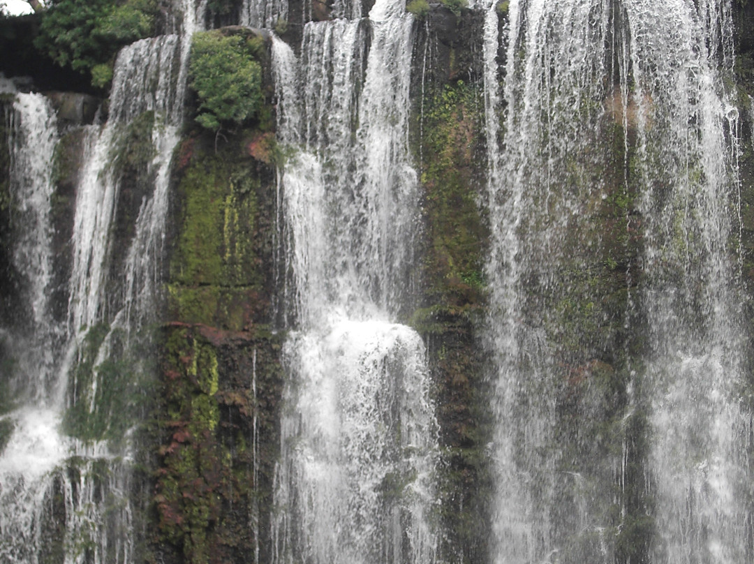 Issys Tours Costa Rica景点图片