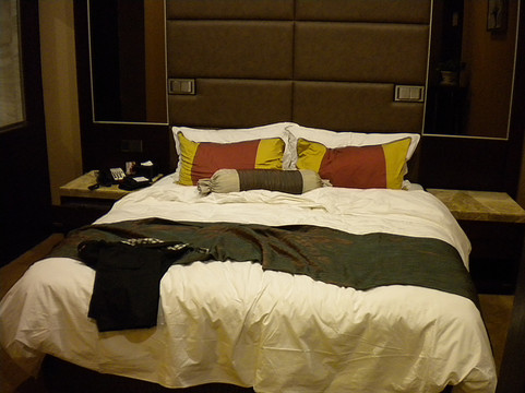 芜湖花园湖景西格国际酒店主图