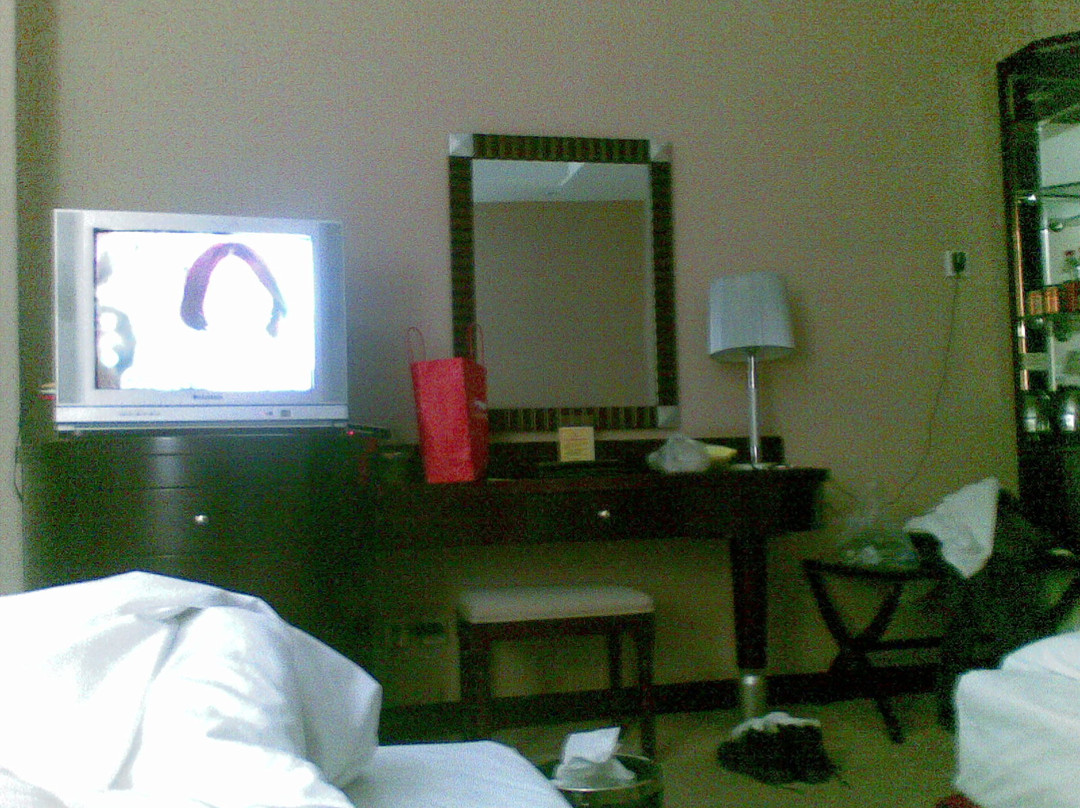 鸿瑞大酒店主图