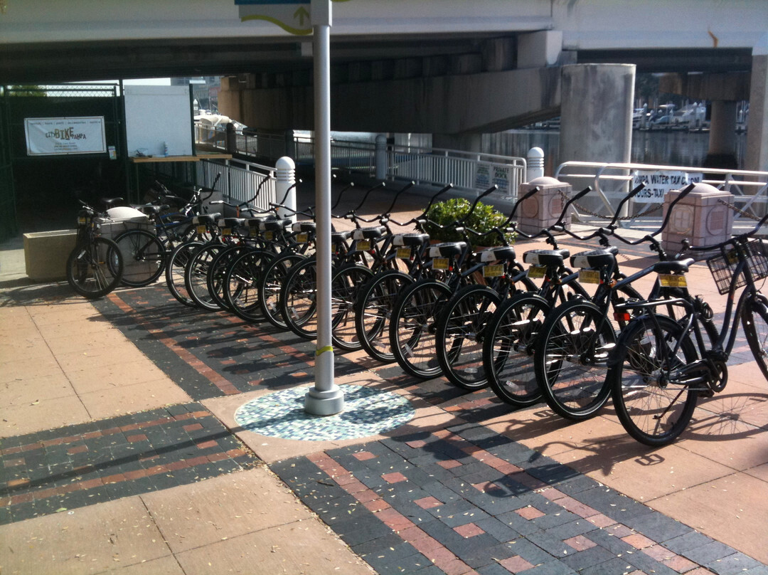 City Bike Tampa景点图片