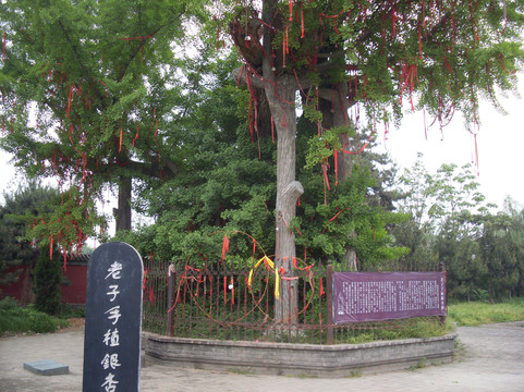 楼观台国家森林公园-周至县必去景点