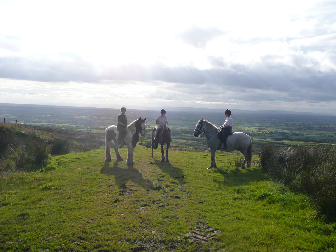 Sheans Horse Farm-Armoy必去景点