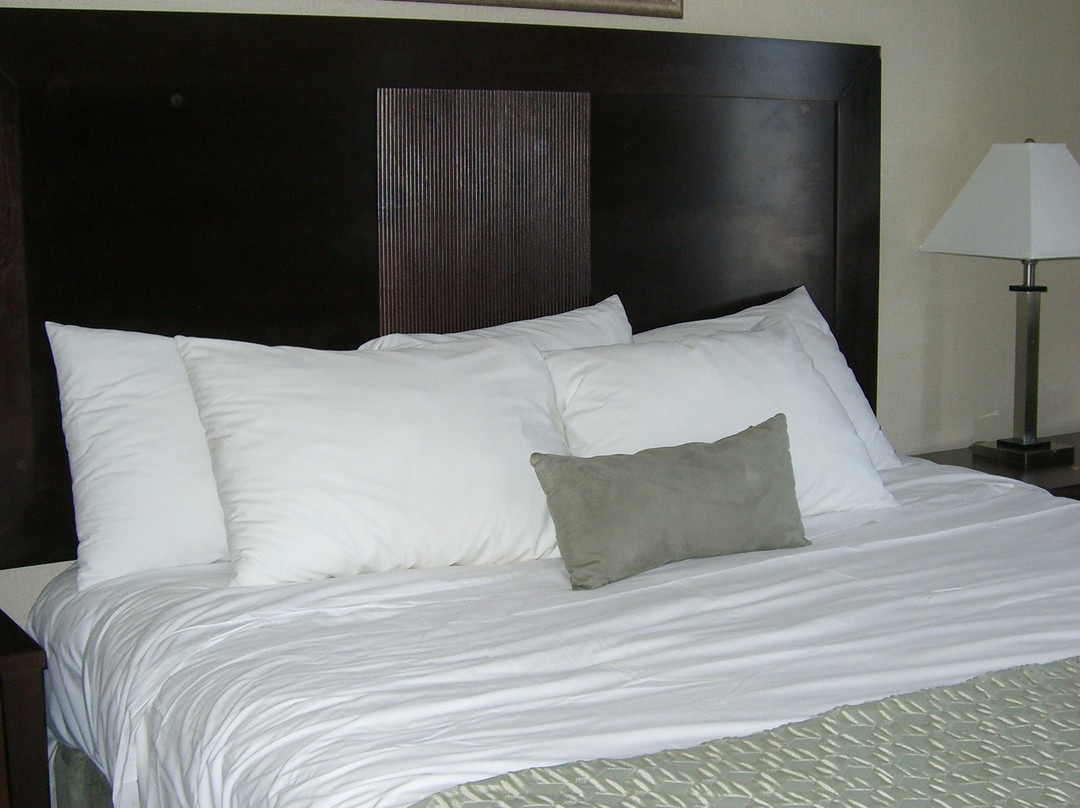 Hillcrest Hotel Near JFK Airtrain