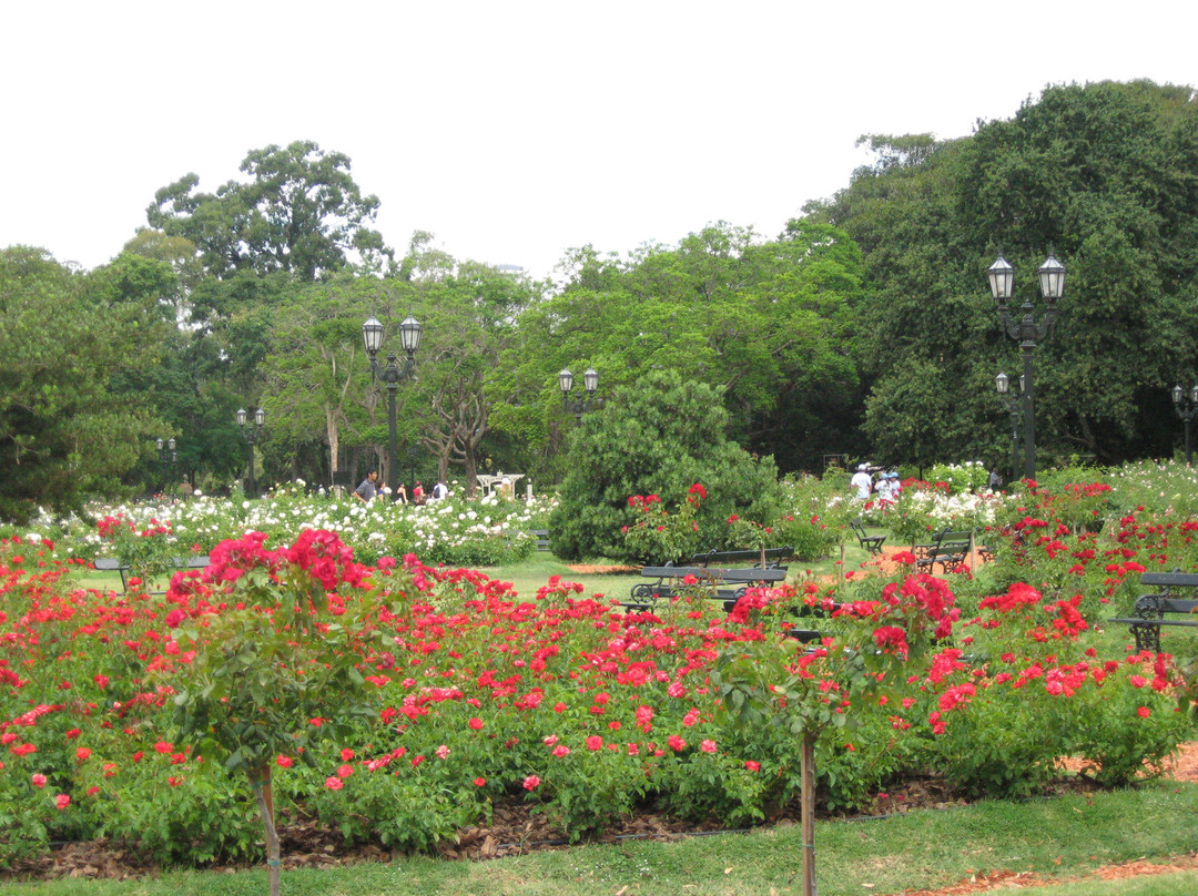 巴勒莫公园-布宜诺斯艾利斯必去景点