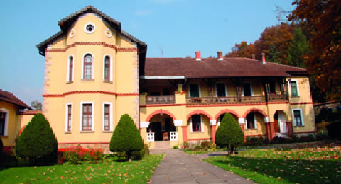 Monastery of Ljubostinja景点图片