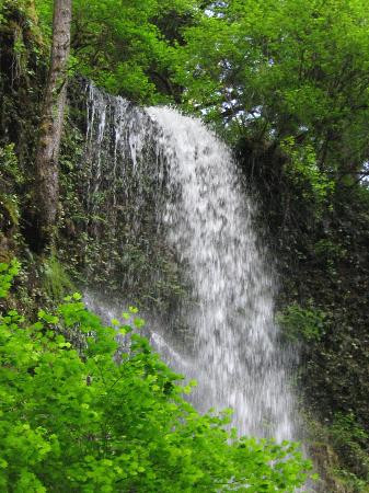 Silver Falls State Park-Drake Crossing必去景点