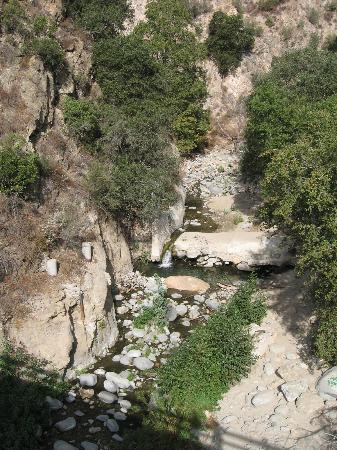 Eaton Canyon景点图片
