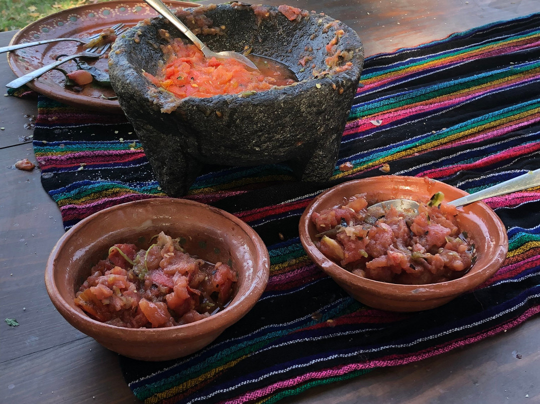 Pueblos By Vallarta Adventures-新瓦雅塔必去景点