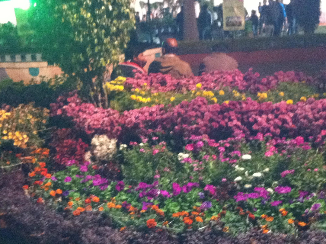 Gandhi Udyan Park-赖布尔必去景点