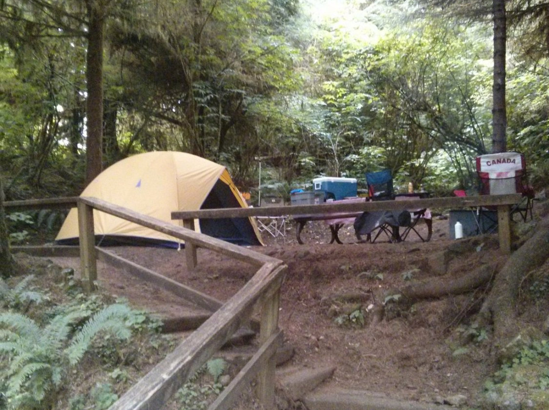 Cape Perpetua Campground