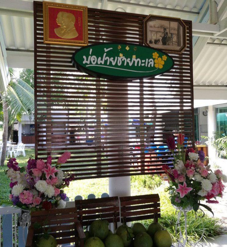 ร้านอาหาร บ่อฝ้ายชายทะเล