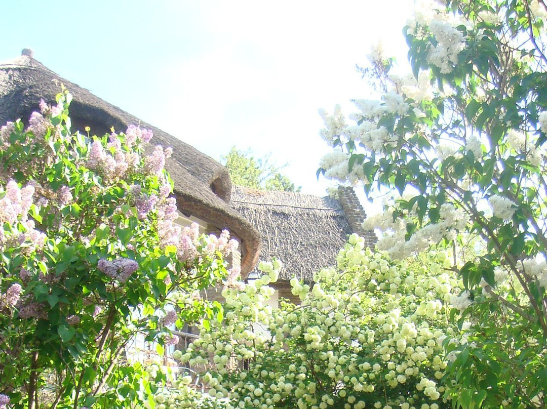 Villa Alexander