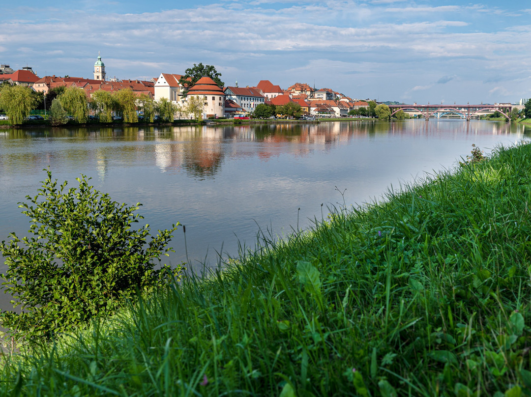 Kamnica酒店住宿-Fani&Rozi B&B