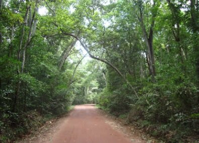 Badagamuwa Conservation Forest景点图片