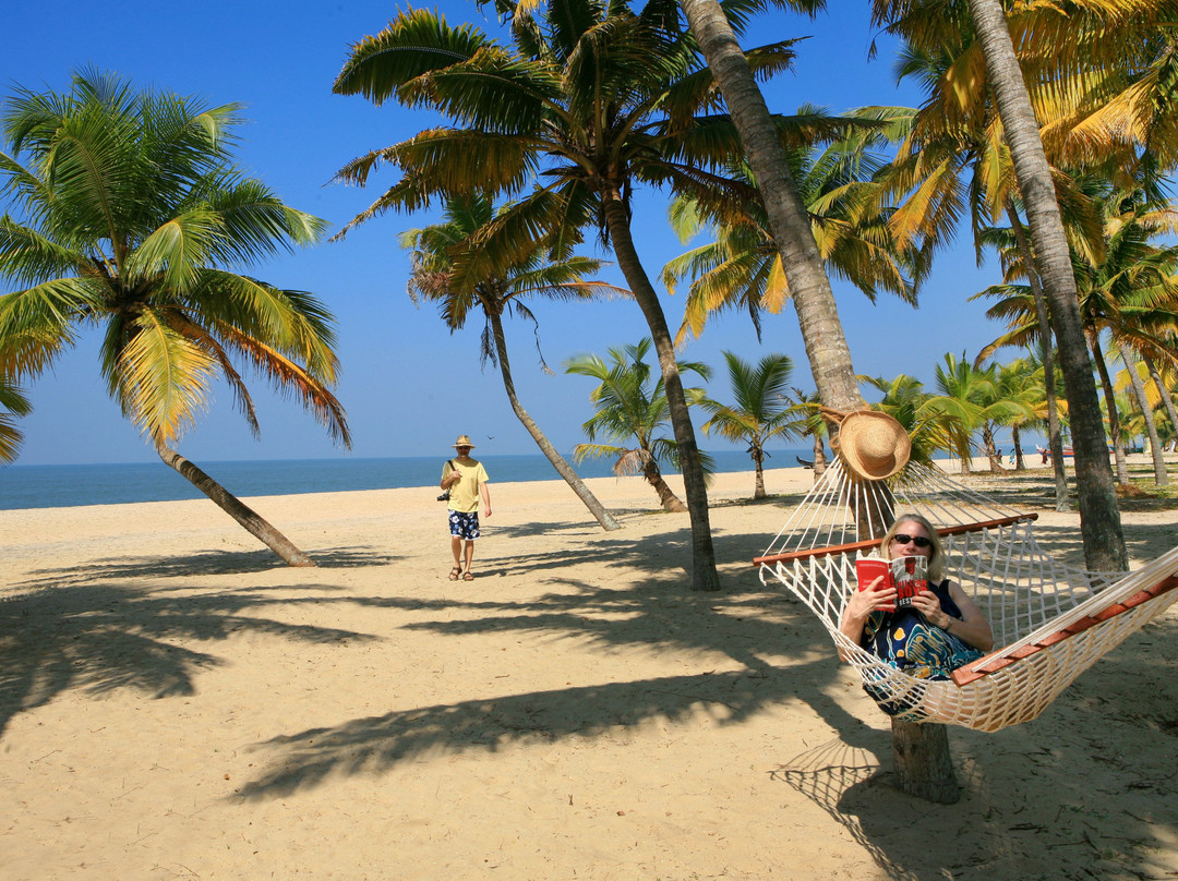 阿拉普扎酒店住宿-乌龟海滩阿瓦德酒店