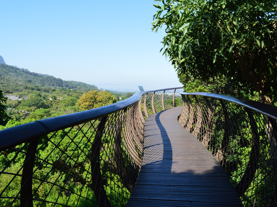 Newlands旅游攻略图片