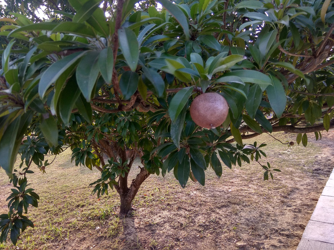 Mallickaa Resort Tajpur主图