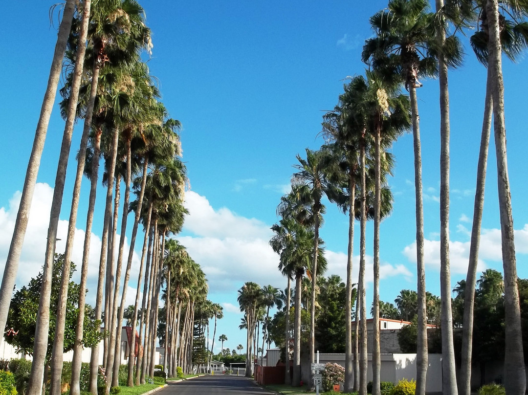 Victoria Palms Inn & Suites