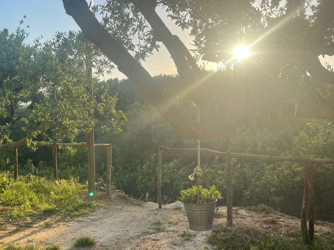 Sirbaggia Agri - Camping