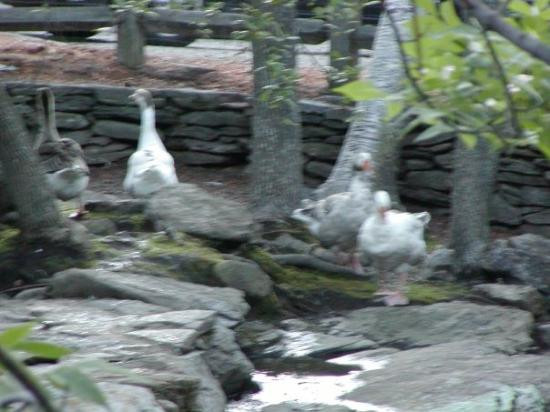 Westminster旅游攻略图片