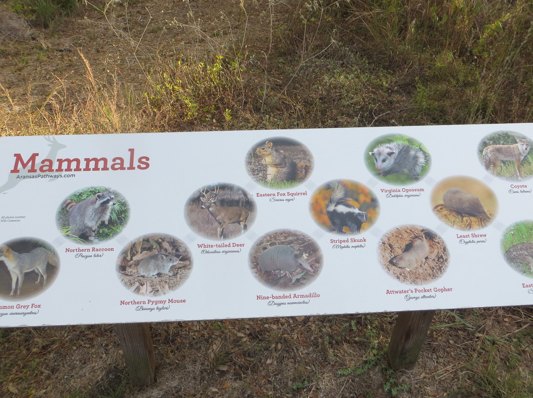 Linda S Castro Nature Sanctuary-Fulton必去景点