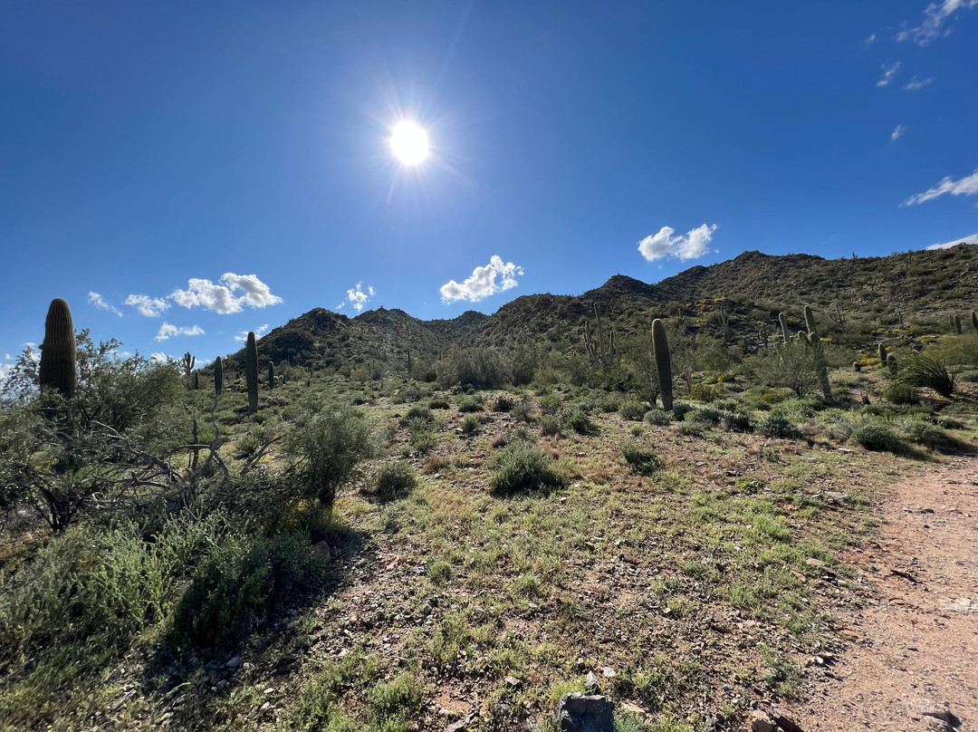 MD Ranch-Queen Creek必去景点