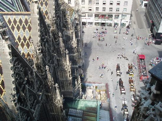圣斯蒂芬大教堂(Stephansdom)-维也纳必去景点