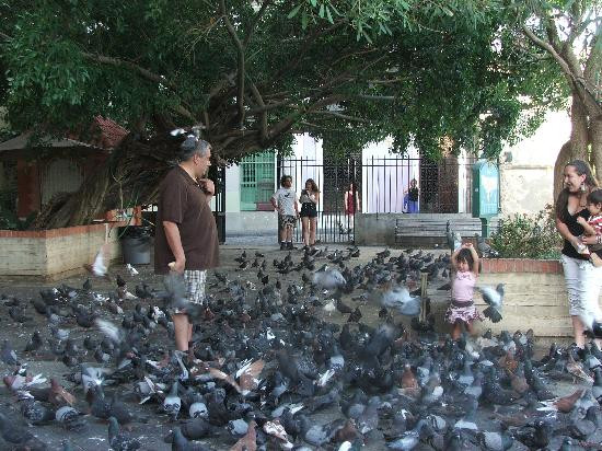 帕克达拉斯帕洛马斯-圣胡安必去景点