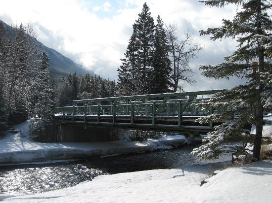 弓河瀑布-班夫必去景点