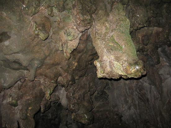 怀托摩萤火虫洞-怀托摩洞穴必去景点