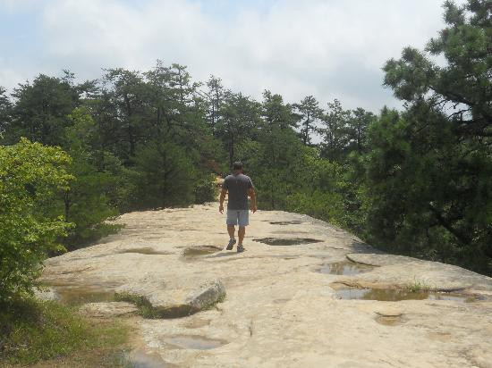 Natural Bridge State Resort Park-Slade必去景点