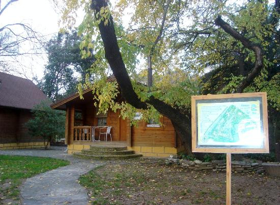 Castillo de Canena-Canena必去景点