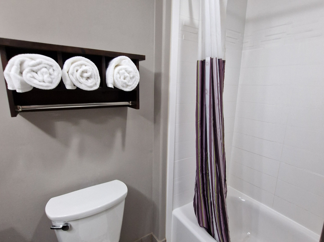 La Quinta Inn & Suites by Wyndham Gonzales TX主图