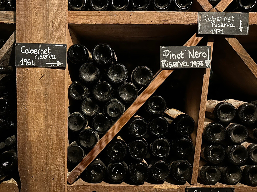 Castello Rametz - Wine Museum景点图片